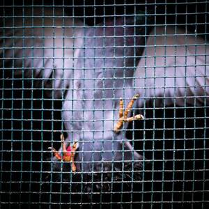 日本护士囗吞精69XX
