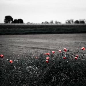 日本护士囗吞精69XX
