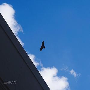 日本护士囗吞精69XX
